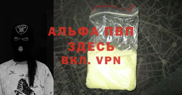 прущие крисы Белокуриха